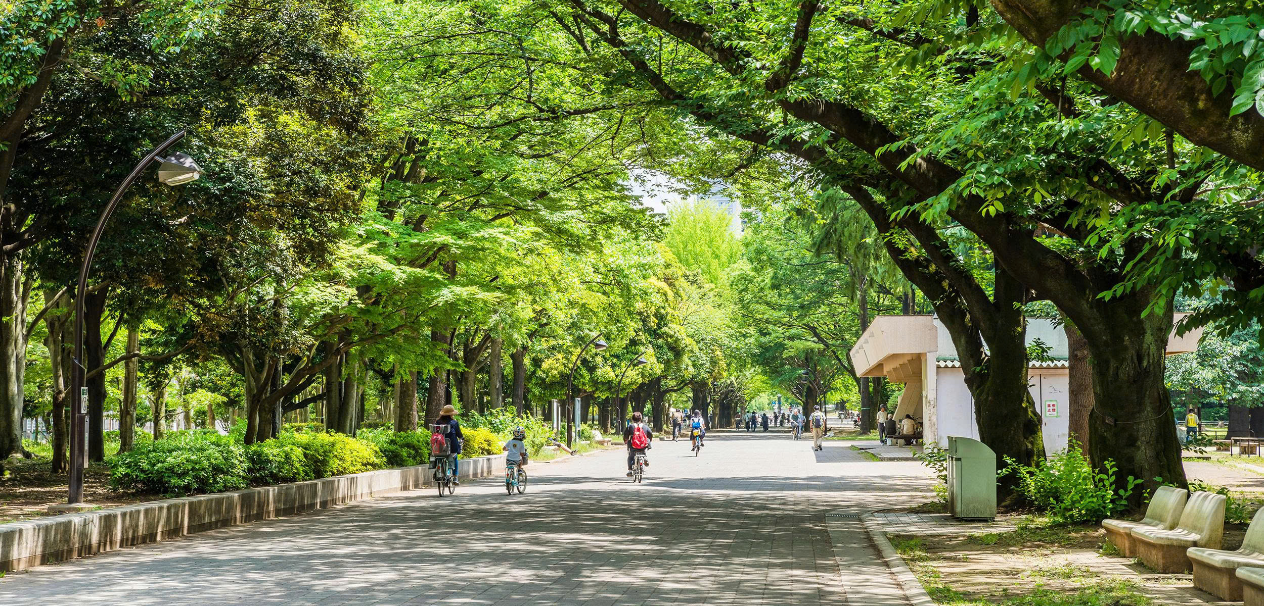 都市景観